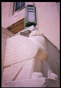 Detail of Owl