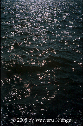 Black Sea
