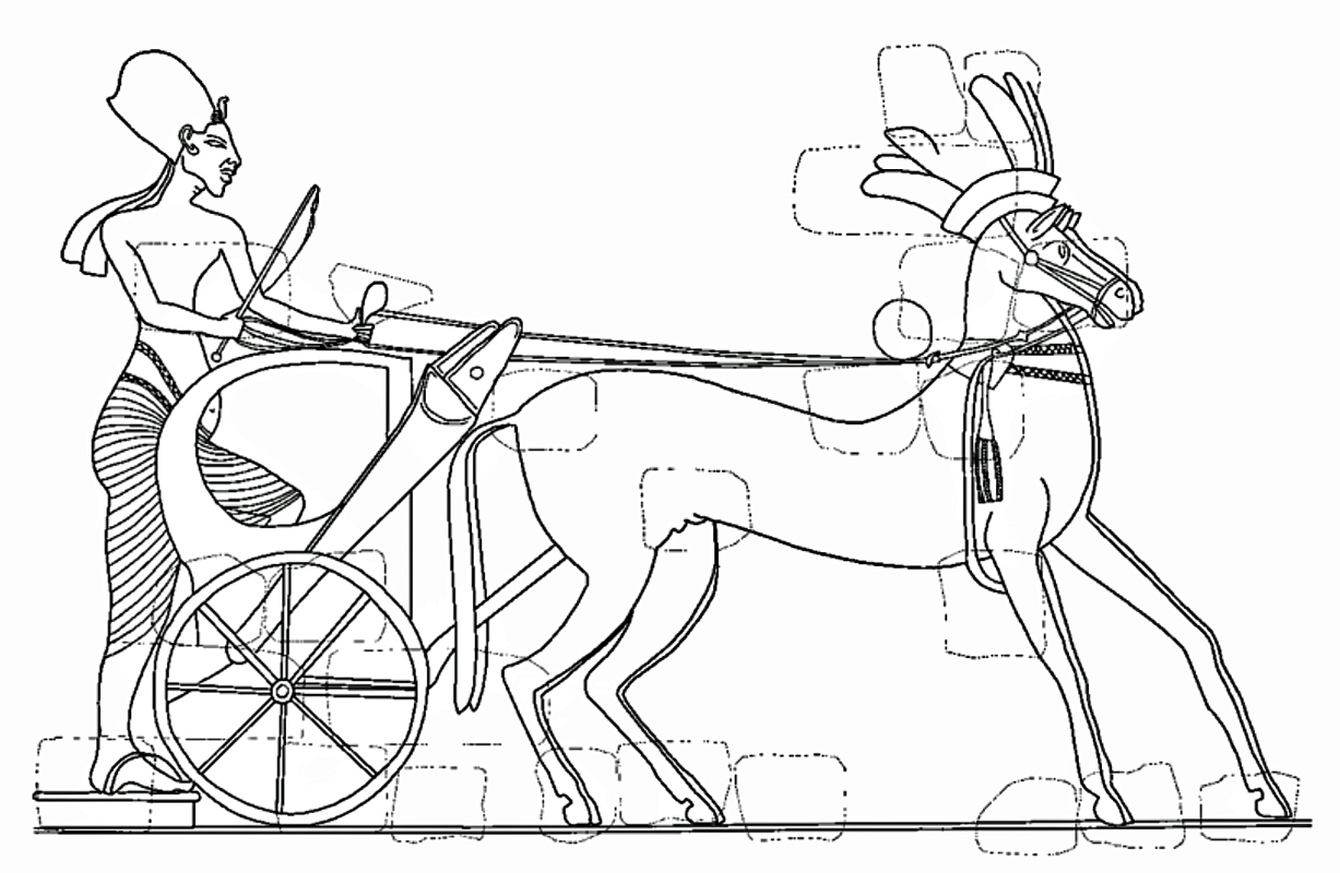Egyptian  hermaphrodite
