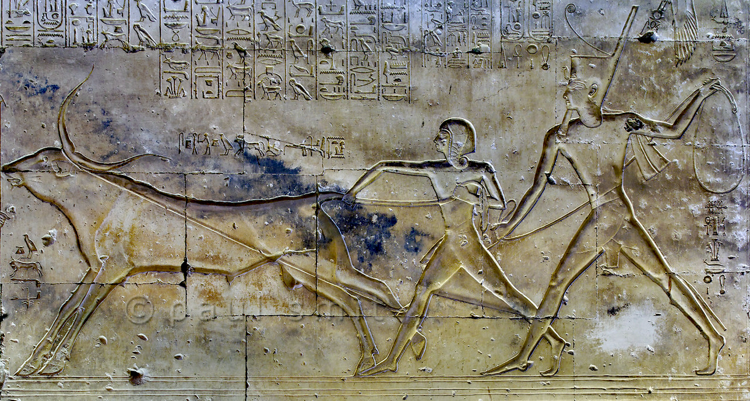 Egyptian  hermaphrodite