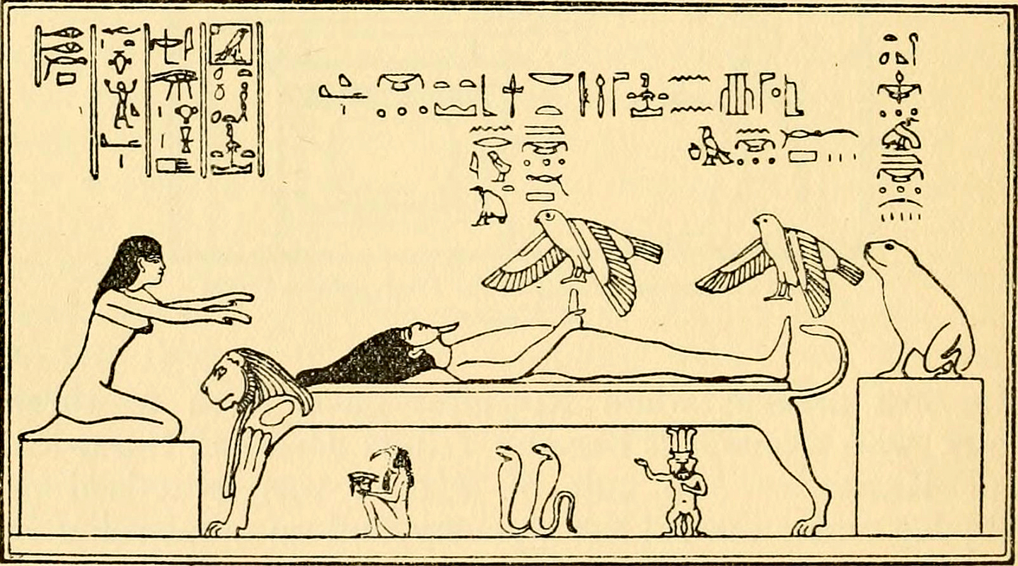 Egyptian  hermaphrodite
