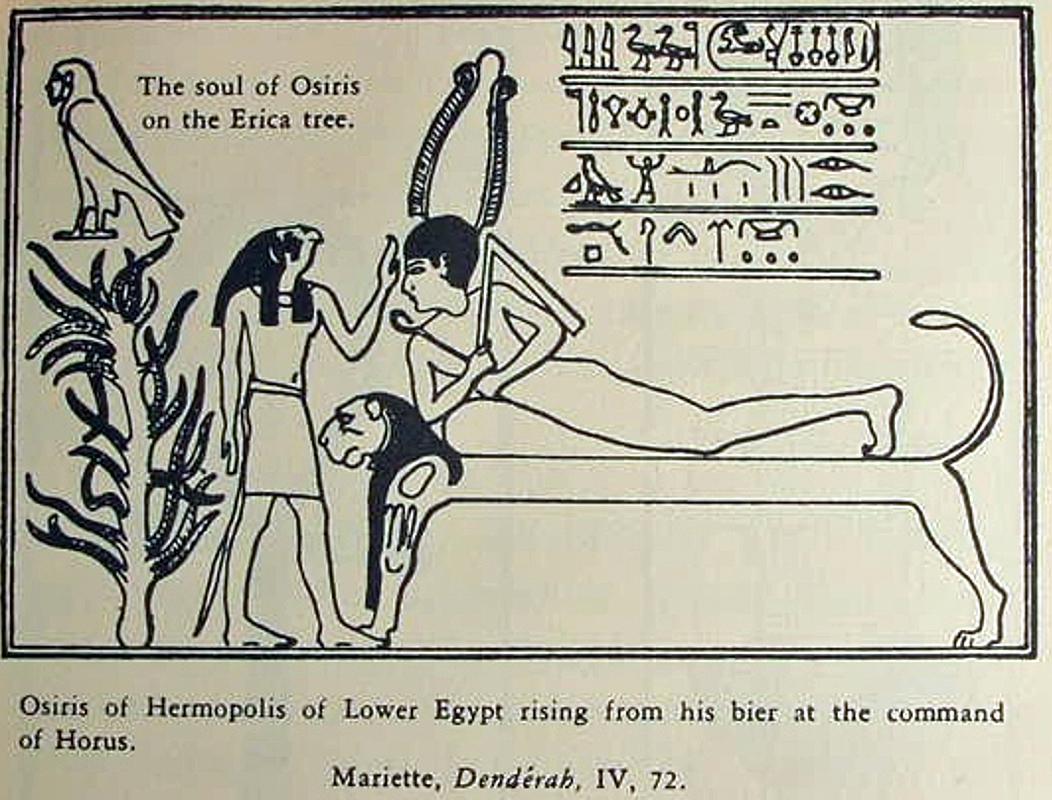 Egyptian  hermaphrodite