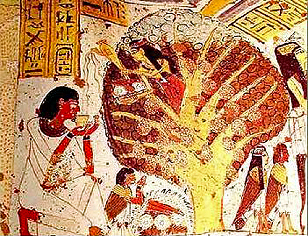 Egyptian  hermaphrodite