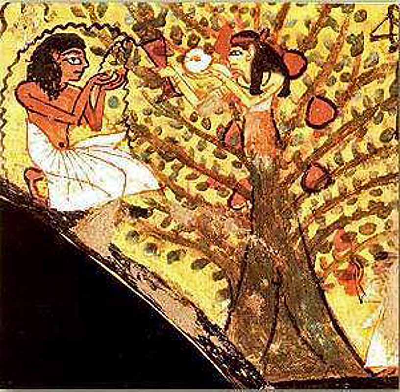 Egyptian  hermaphrodite