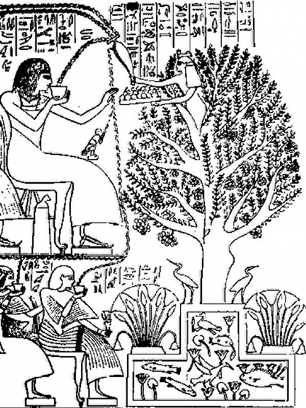 Egyptian  hermaphrodite