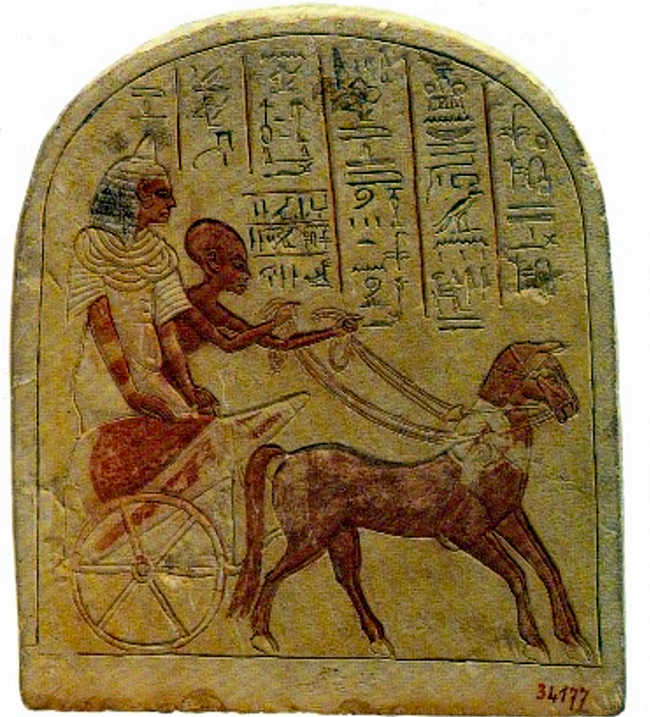 Egyptian  hermaphrodite