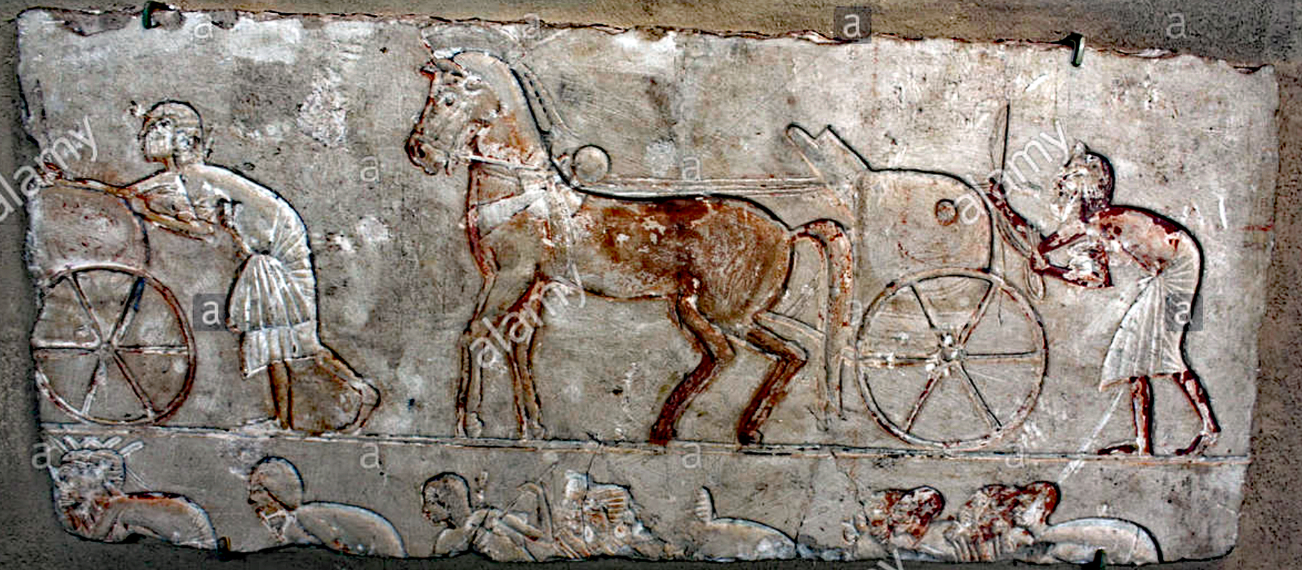 Egyptian  hermaphrodite
