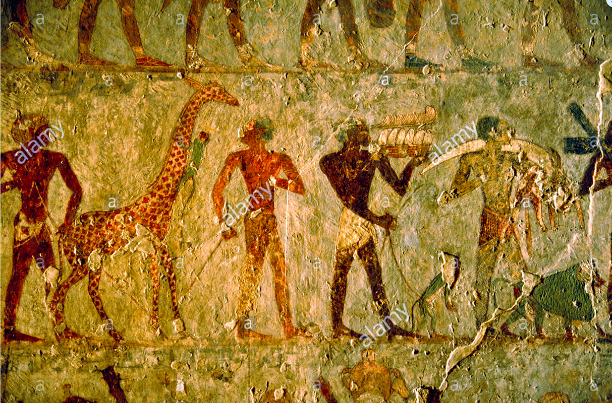 Egyptian  hermaphrodite