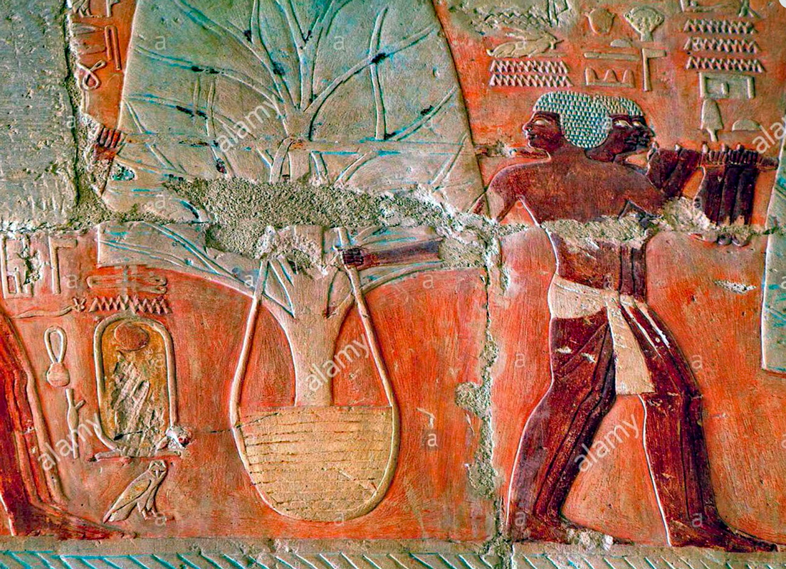 Egyptian  hermaphrodite