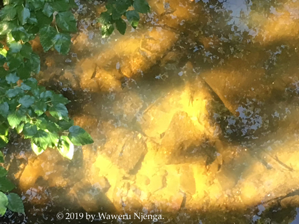 Rock Creek