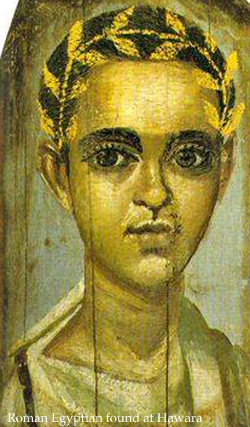 Hawara Golden Laurel 2