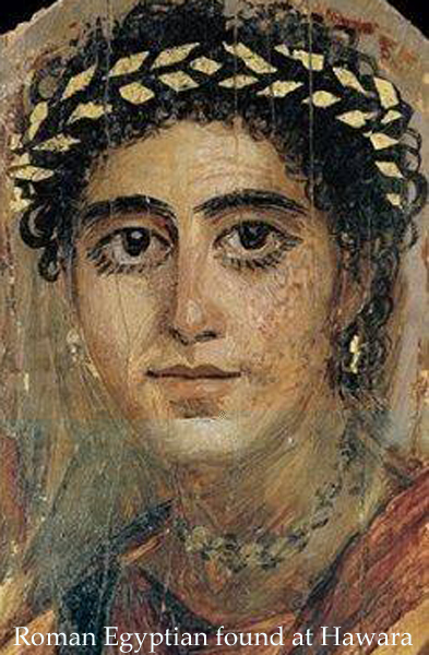 Hawara Golden Laurel 3