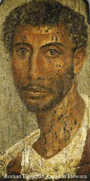 Hawara Golden Laurel 4