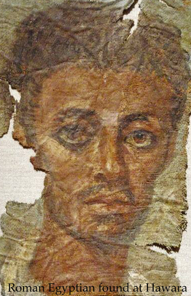 Hawara Golden Laurel 4