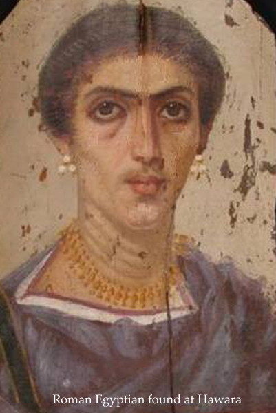 Hawara Golden Laurel 4