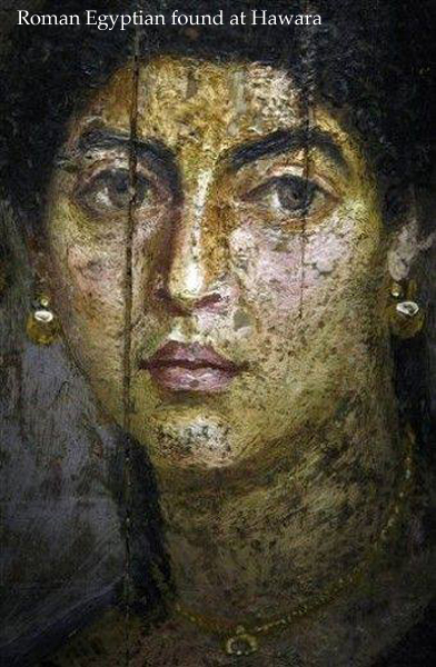 Hawara Golden Laurel 4