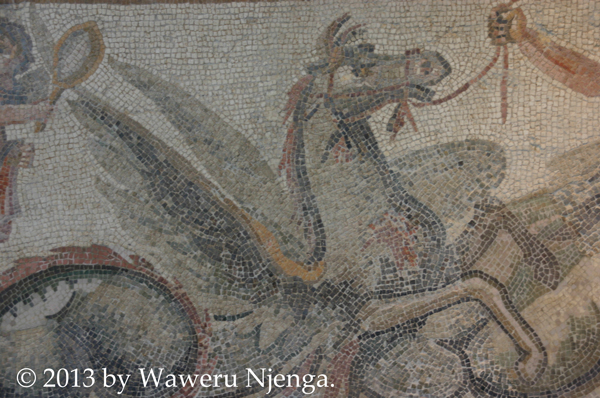 Hippocamp