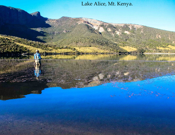 Lake Alice, Mt Kenya