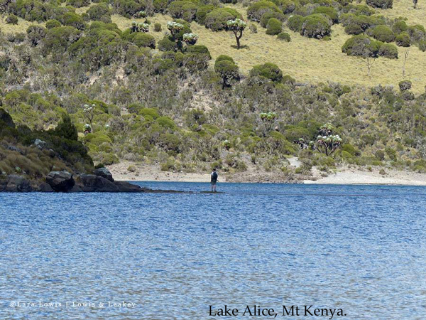Lake Alice, Mt Kenya