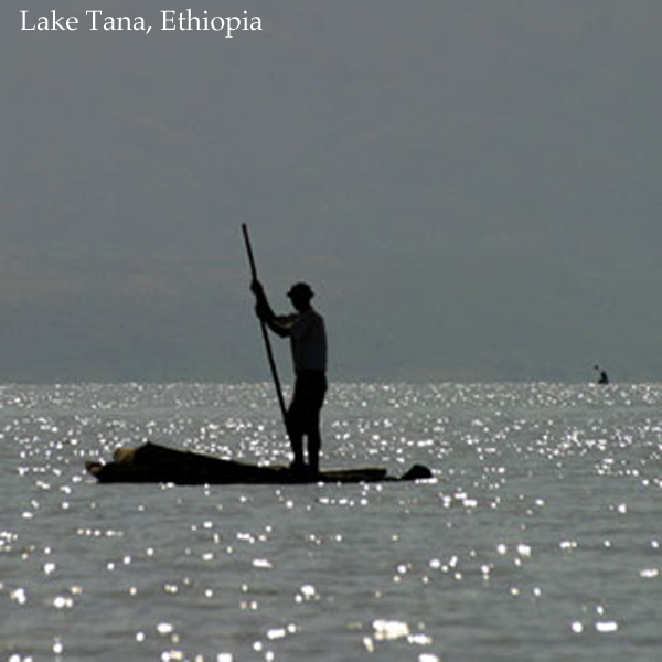 Lake Tana