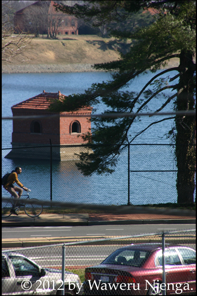 Rear Window 2/Mcmillan Resevoir