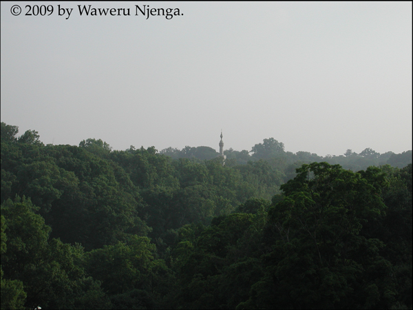 View over Taft bridge with mosque 2
