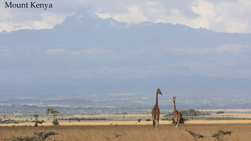 Mt Kenya