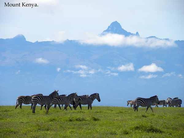 Mt Kenya