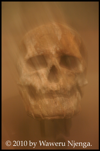 Neanderthal