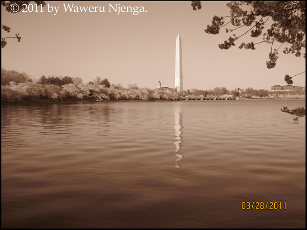 Washington Monument from tidal basin