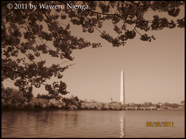Washington Monument from Tidal Basin