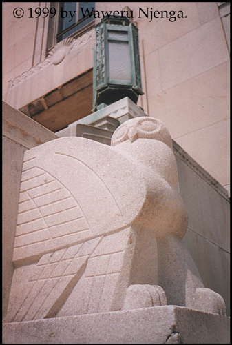 Owl - 2