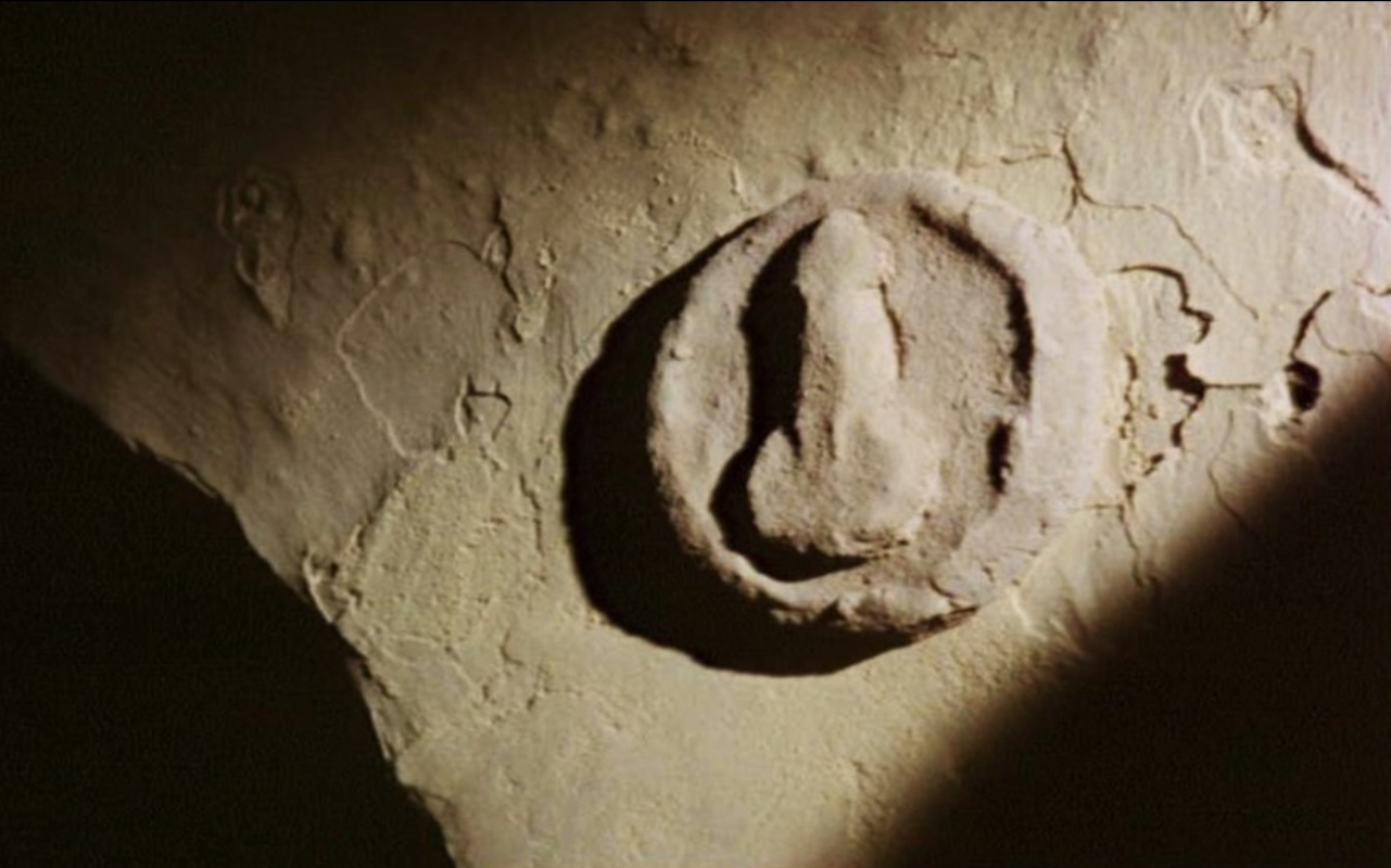 Pompeii Phallus