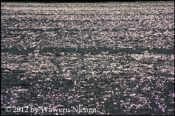 Potomac - 2
