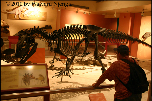 Raptor