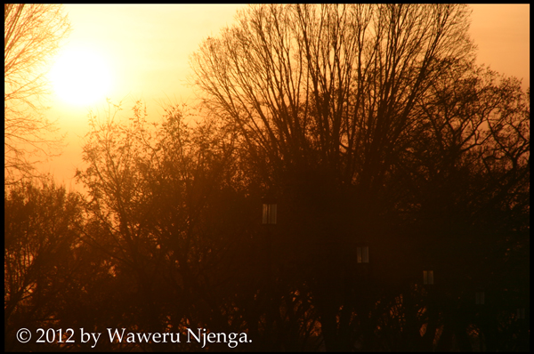 Red Sunset