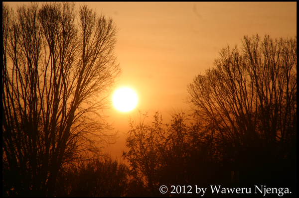 Red Sunset - 2