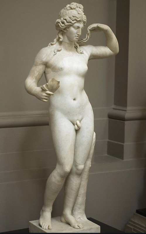 Roman hermaphrodite
