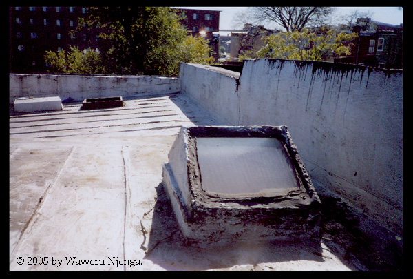 Skylight 2