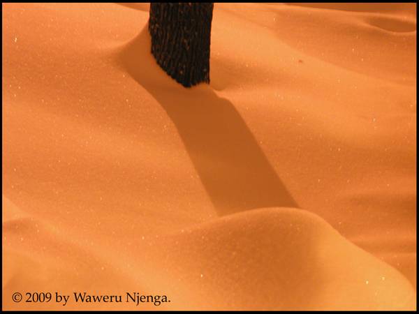 Snowstorm