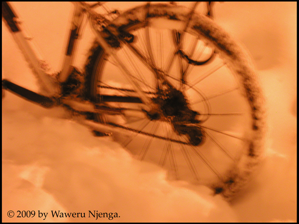 Snowstorm - 4