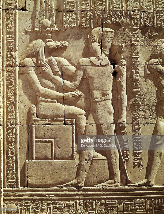 Hawara Golden Laurel 4