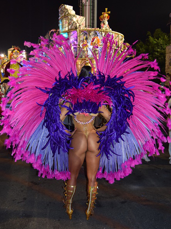 Unknown Samba Dancer