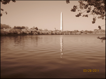 Washington Munument from tidal basin