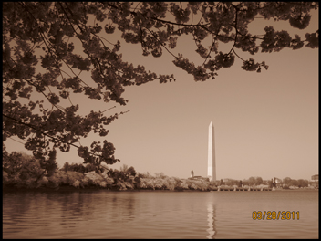 Washington Monument from tidal basin
