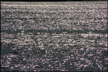 Potomac - 2