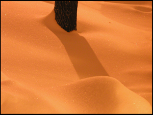 Snowstorm