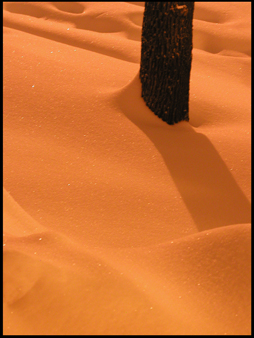 Snowstorm 2