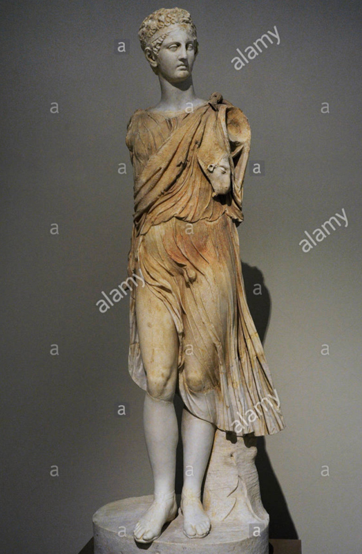 Hermaphrodite Definition Of Hermaphrodite By The Free