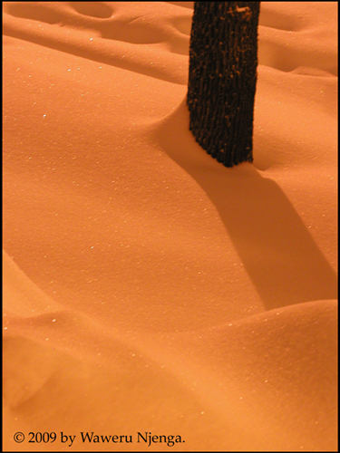 Snowstorm2